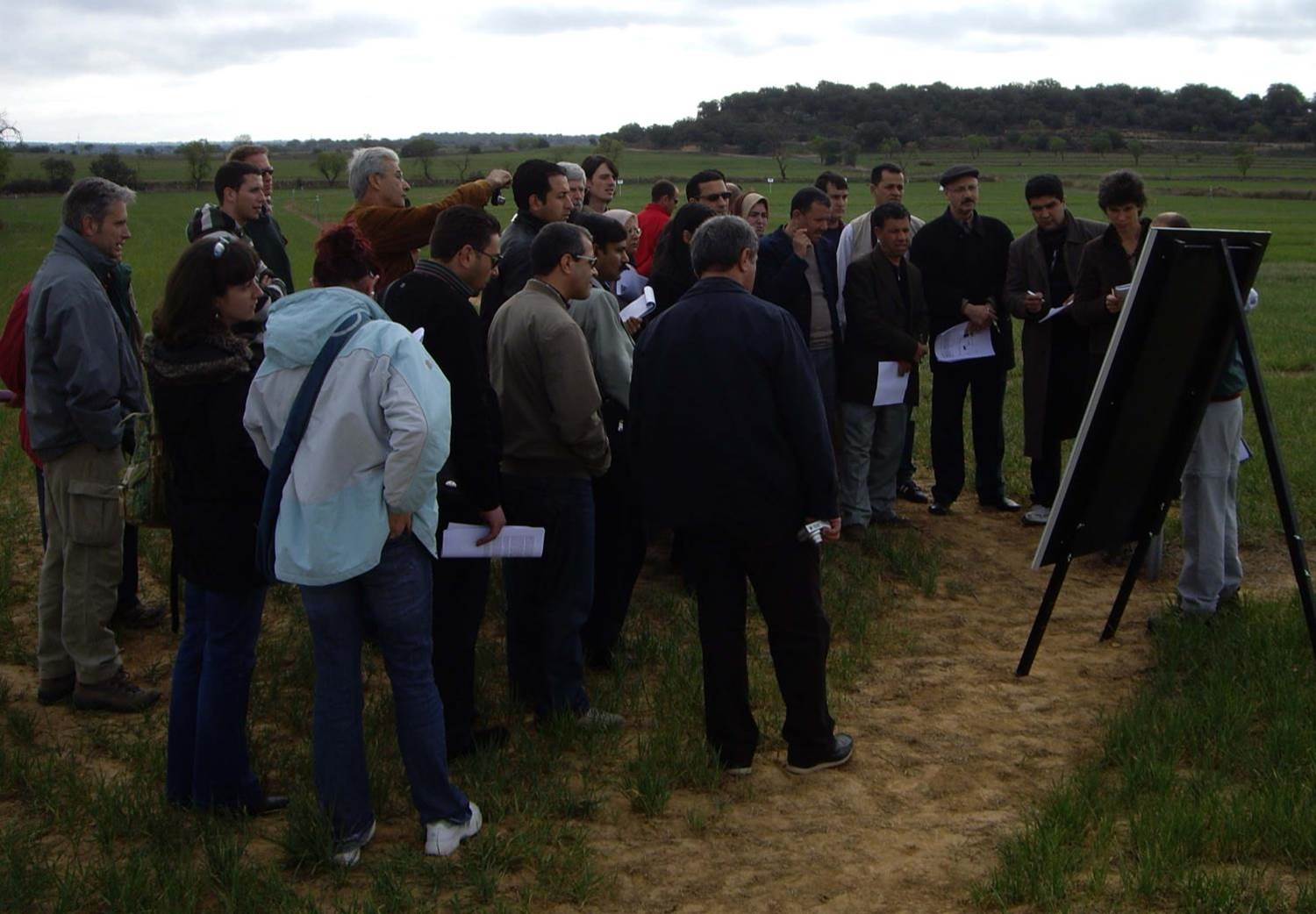 Participants gather in the field for viewing conservation agriculture on a nearby farm 